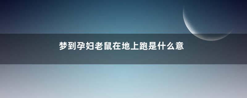 梦到孕妇老鼠在地上跑是什么意思