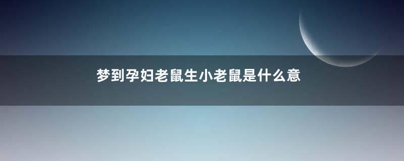 梦到孕妇老鼠生小老鼠是什么意思