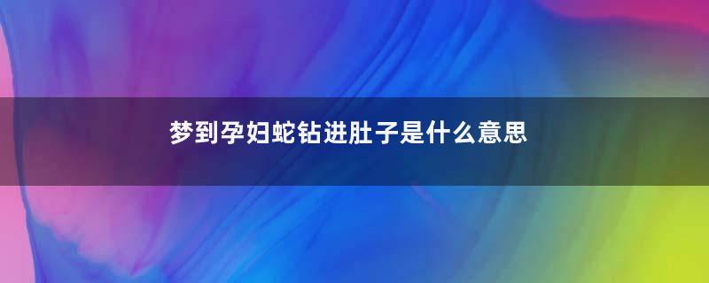 梦到孕妇蛇钻进肚子是什么意思