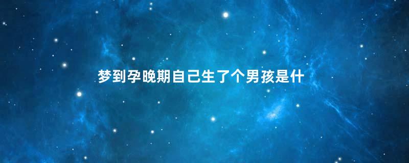 梦到孕晚期自己生了个男孩是什么意思
