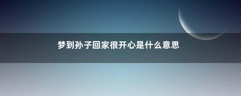 梦到孙子回家很开心是什么意思
