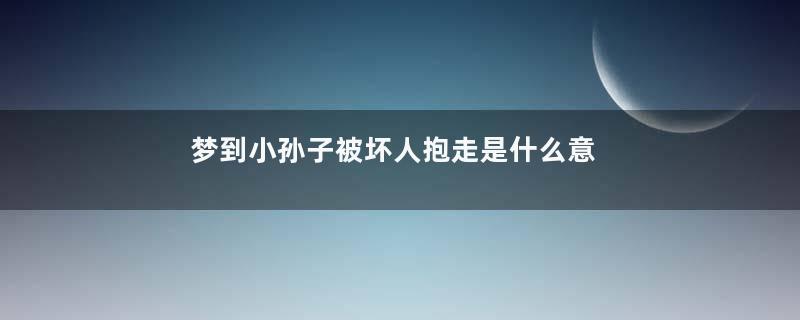 梦到小孙子被坏人抱走是什么意思