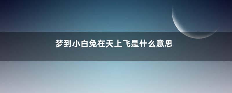 梦到小白兔在天上飞是什么意思