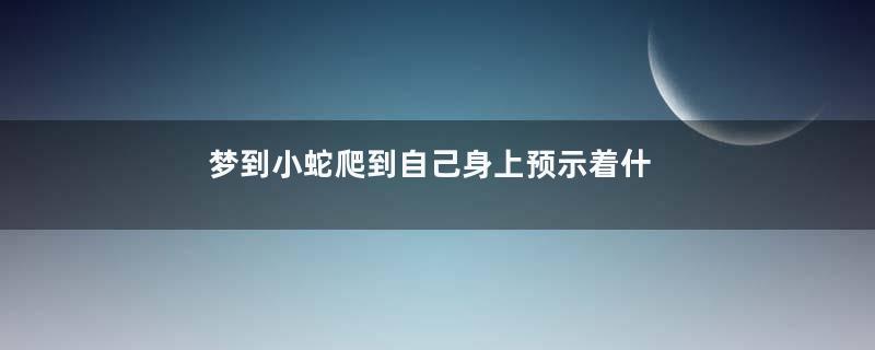 梦到小蛇爬到自己身上预示着什么