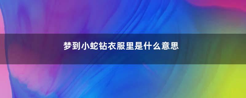 梦到小蛇钻衣服里是什么意思