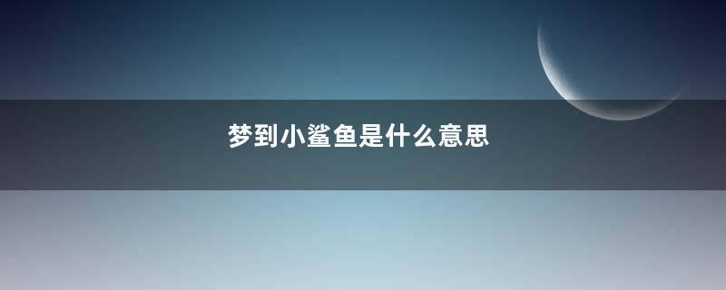 梦到小鲨鱼是什么意思