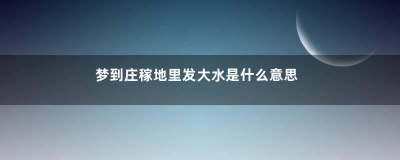 梦到庄稼地里发大水是什么意思