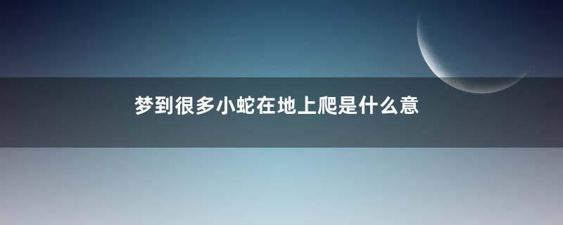 梦到很多小蛇在地上爬是什么意思