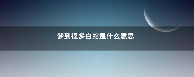 梦到很多白蛇是什么意思