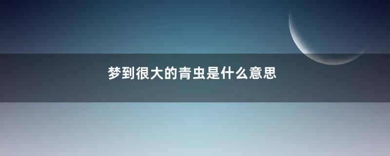 梦到很大的青虫是什么意思