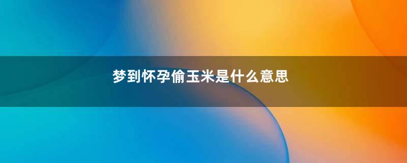 梦到怀孕偷玉米是什么意思