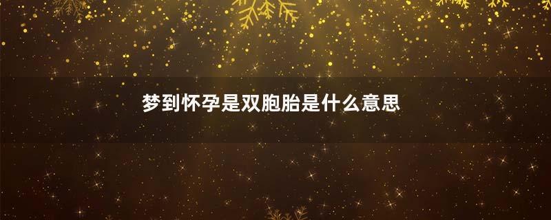 梦到怀孕是双胞胎是什么意思