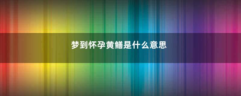 梦到怀孕黄鳝是什么意思