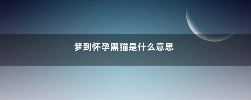 梦到怀孕黑猫是什么意思