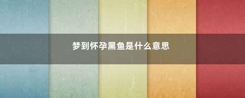 梦到怀孕黑鱼是什么意思