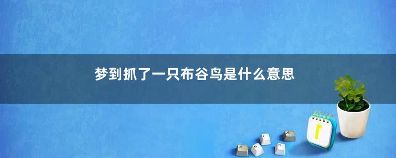 梦到抓了一只布谷鸟是什么意思