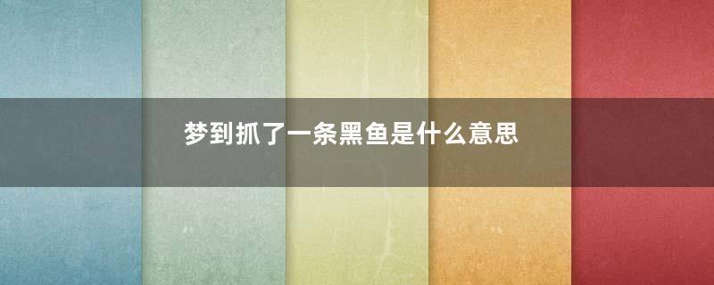 梦到抓了一条黑鱼是什么意思