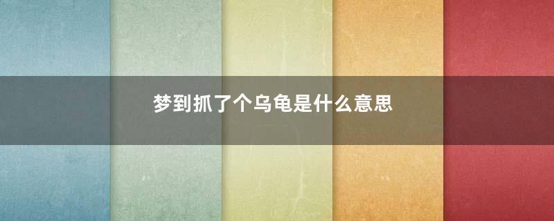 梦到抓了个乌龟是什么意思