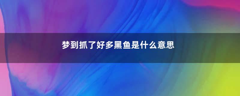 梦到抓了好多黑鱼是什么意思