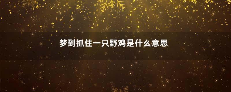 梦到抓住一只野鸡是什么意思