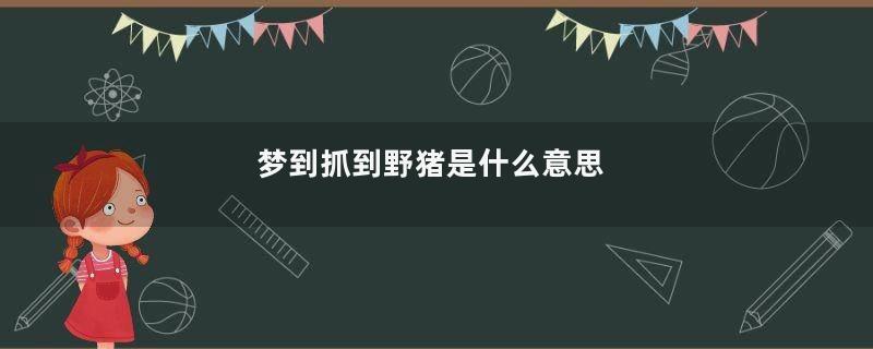 梦到抓到野猪是什么意思