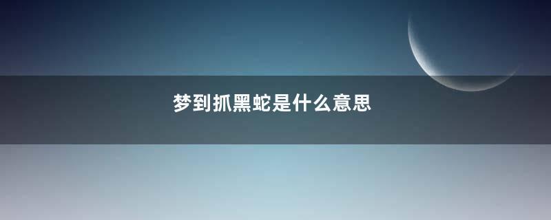 梦到抓黑蛇是什么意思