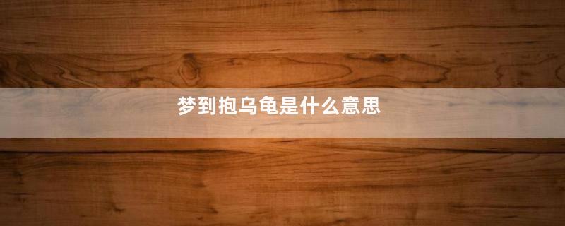 梦到抱乌龟是什么意思