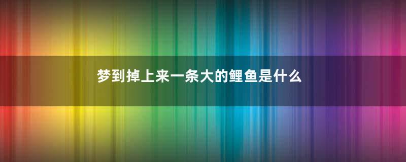 梦到掉上来一条大的鲤鱼是什么意思