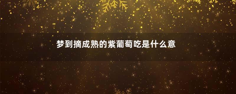 梦到摘成熟的紫葡萄吃是什么意思