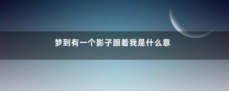 梦到有一个影子跟着我是什么意思