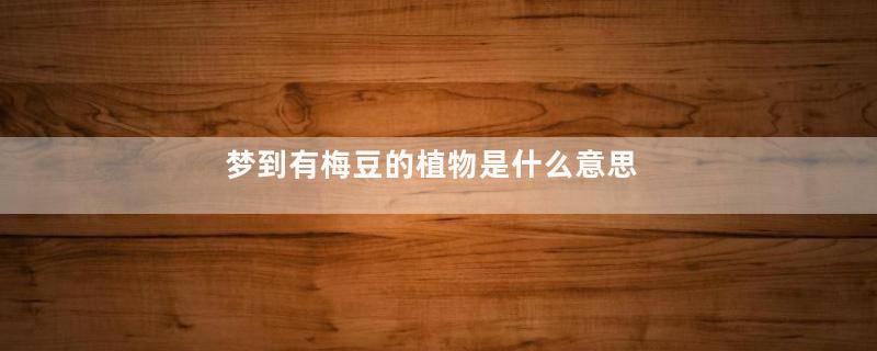 梦到有梅豆的植物是什么意思