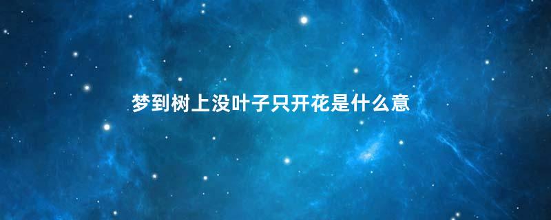 梦到树上没叶子只开花是什么意思