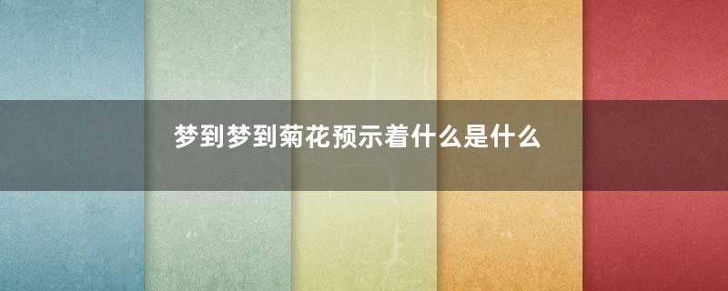 梦到梦到菊花预示着什么是什么意思