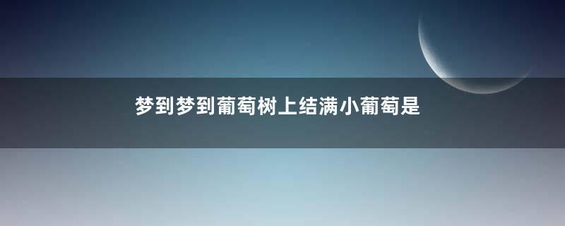 梦到梦到葡萄树上结满小葡萄是什么意思
