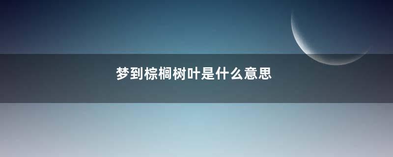 梦到棕榈树叶是什么意思