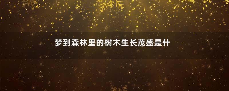 梦到森林里的树木生长茂盛是什么意思