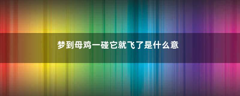 梦到母鸡一碰它就飞了是什么意思