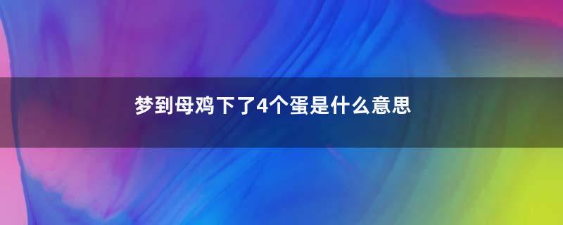 梦到母鸡下了4个蛋是什么意思