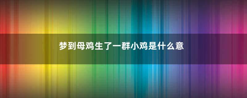 梦到母鸡生了一群小鸡是什么意思