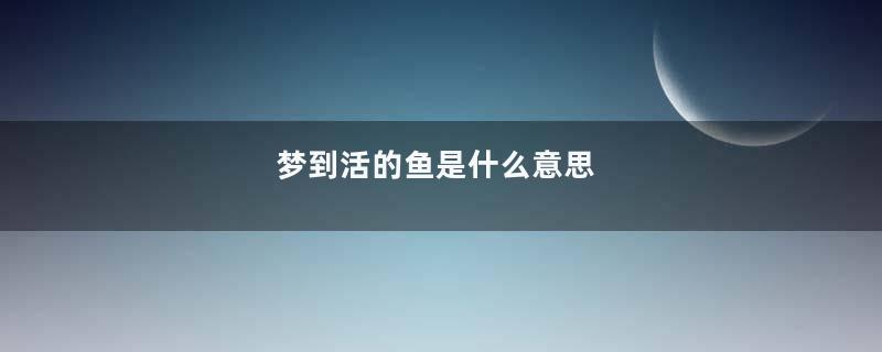 梦到活的鱼是什么意思