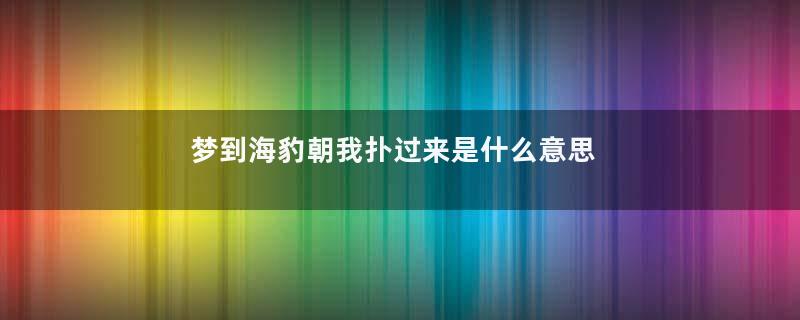 梦到海豹朝我扑过来是什么意思