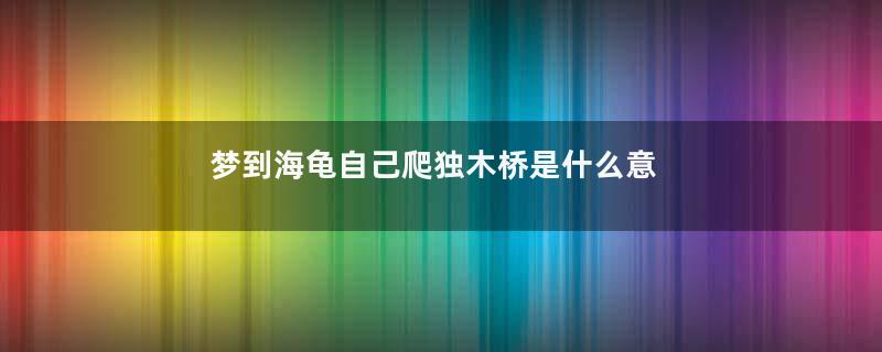 梦到海龟自己爬独木桥是什么意思