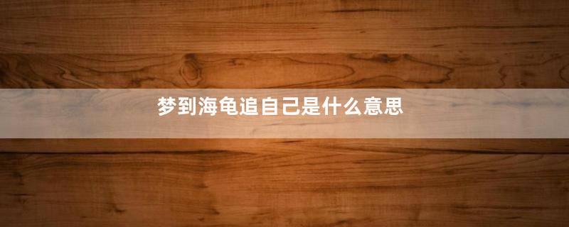 梦到海龟追自己是什么意思