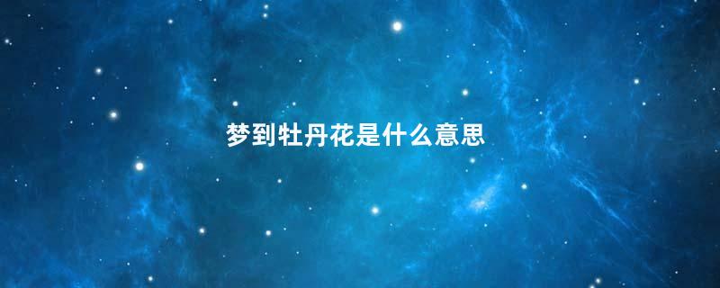梦到牡丹花是什么意思