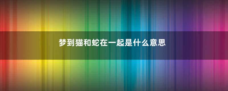 梦到猫和蛇在一起是什么意思