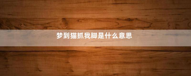 梦到猫抓我脚是什么意思