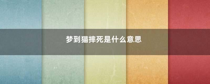 梦到猫摔死是什么意思