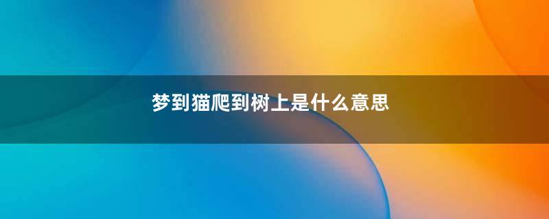 梦到猫爬到树上是什么意思