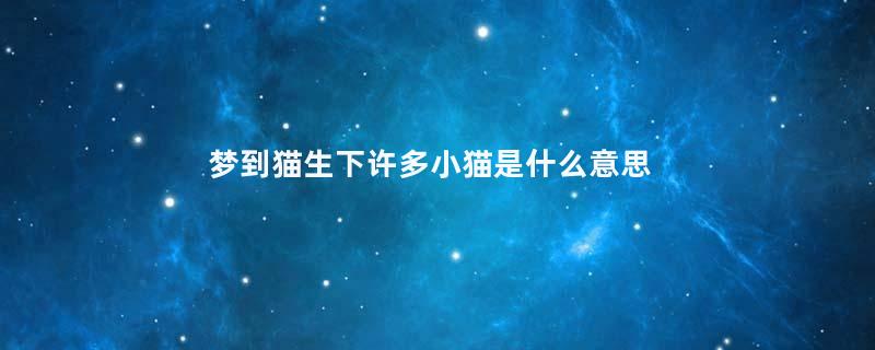 梦到猫生下许多小猫是什么意思