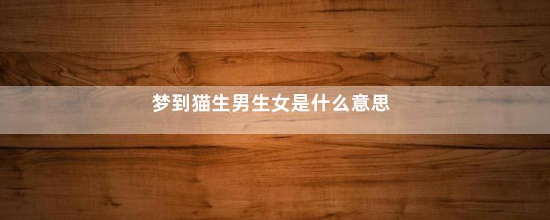 梦到猫生男生女是什么意思